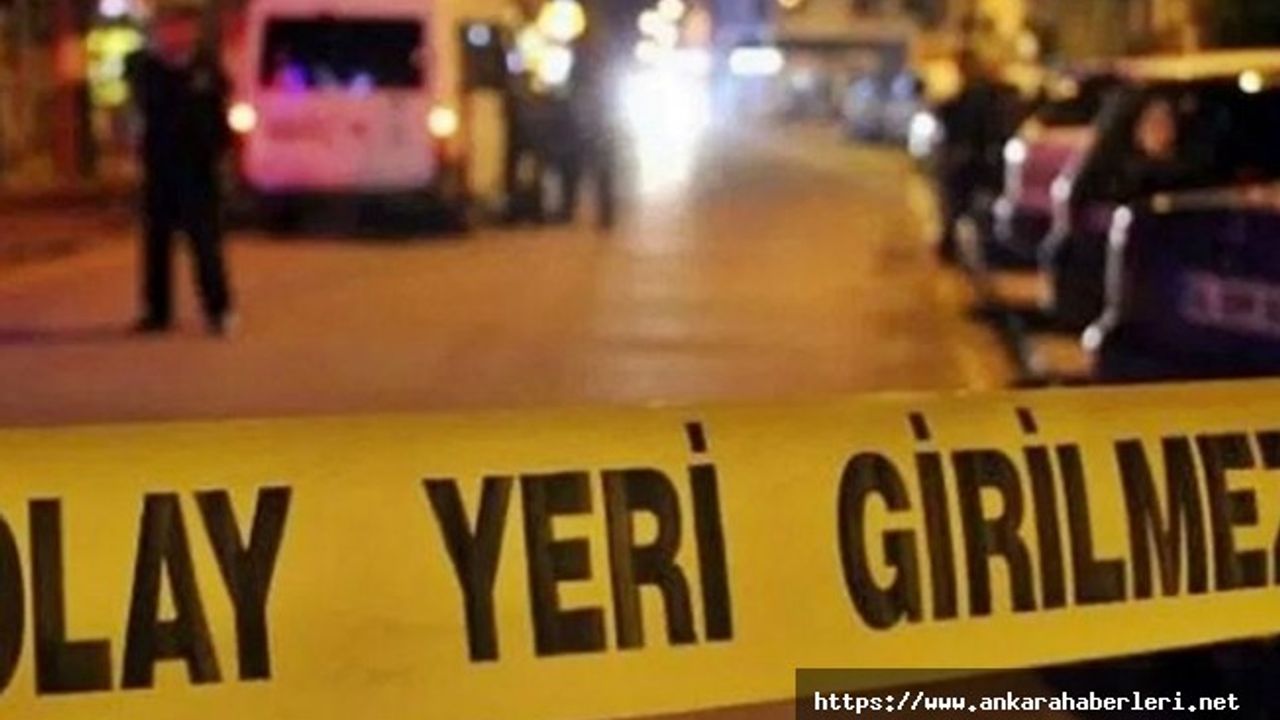 Ankara'da kardeşlerin kavgası kanlı bitti
