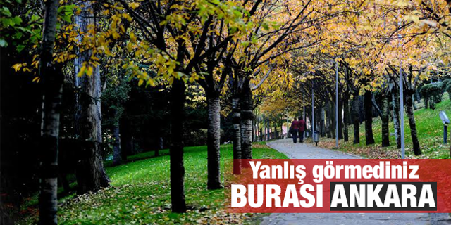 Ankara sonbaharda da bir başka güzel