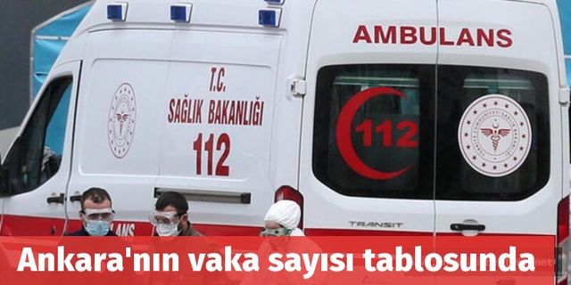 Ankara'nın vaka sayısı tablosunda kaç hasta var?