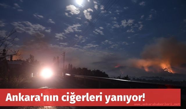 Ankara'nın ciğerleri yanıyor!
